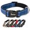 lionto collier pour chien en nylon, rembourré, réfléchissant 360° XS 20-30 cm / bleu