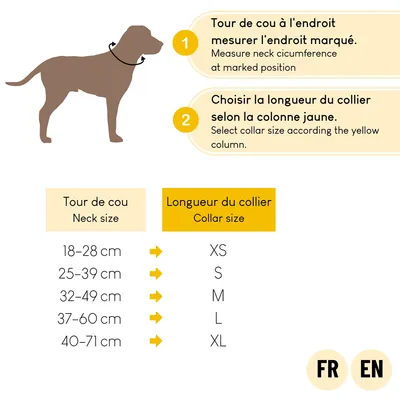 lionto collier pour chien en nylon, rembourré, réfléchissant 360°
