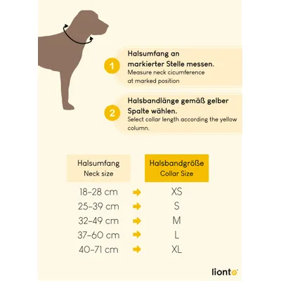 lionto collier pour chien en nylon, rembourré, réfléchissant 360° lionto collier pour chien en nylon, rembourré, réfléchissant 360°