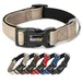 lionto Hundehalsband aus Nylon, gepolstert, 360° reflektierend