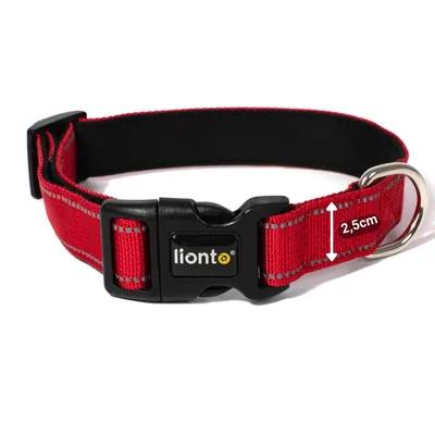 lionto collier pour chien en nylon, rembourré, réfléchissant 360° lionto collier pour chien en nylon, rembourré, réfléchissant 360°