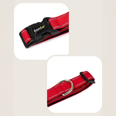 lionto collier pour chien en nylon, rembourré, réfléchissant 360°