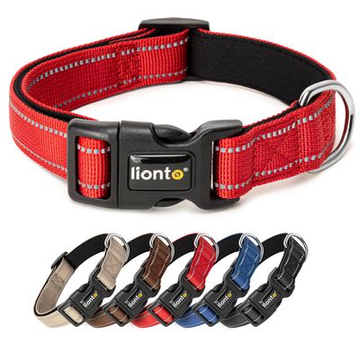 lionto collier pour chien en nylon, rembourré, réfléchissant 360° XS 20-30 cm / rouge