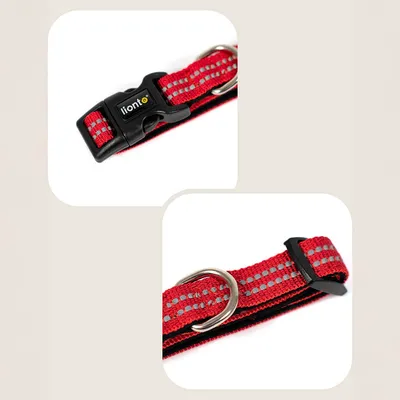 lionto collier pour chien en nylon, rembourré, réfléchissant 360°