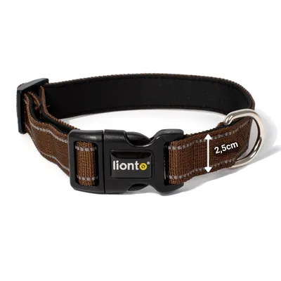 lionto collier pour chien en nylon, rembourré, réfléchissant 360° lionto collier pour chien en nylon, rembourré, réfléchissant 360°