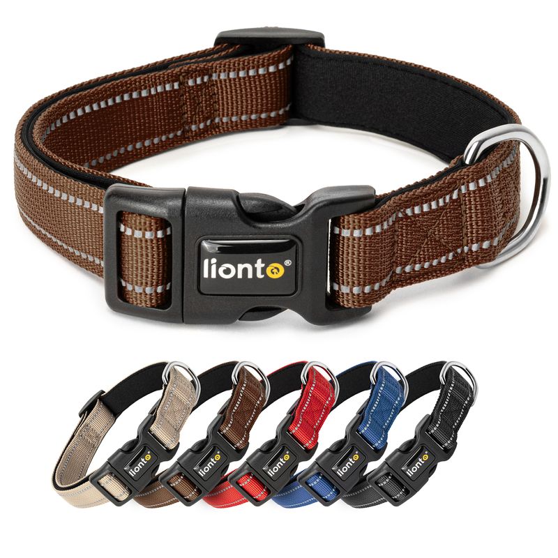 lionto collier pour chien en nylon, rembourré, réfléchissant 360°