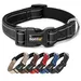 lionto Hundehalsband aus Nylon, gepolstert, 360° reflektierend