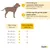 lionto collier pour chien en nylon, rembourré, réfléchissant 360° lionto collier pour chien en nylon, rembourré, réfléchissant 360°
