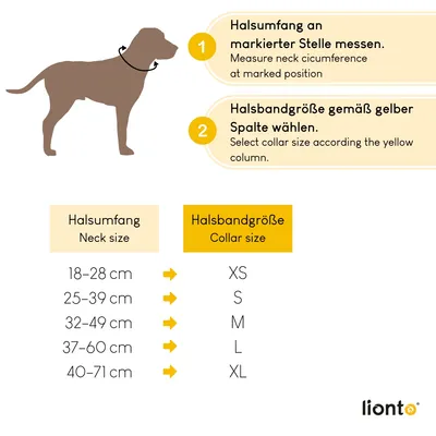 lionto collier pour chien en nylon, rembourré, réfléchissant 360°