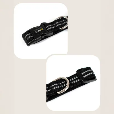 lionto collier pour chien en nylon, rembourré, réfléchissant 360°