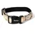 lionto collier pour chien en nylon, rembourré, réfléchissant 360°