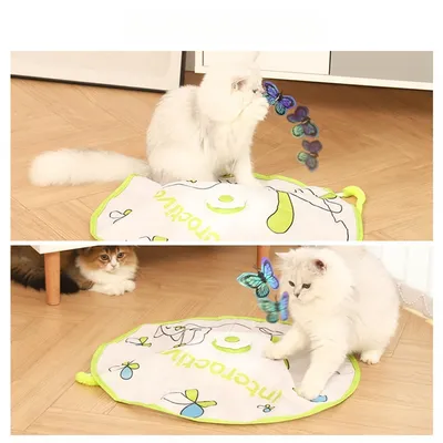 IntiMeg Jouet pour chat