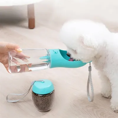 IntiMeg Bouteille d'eau de Chien Portable