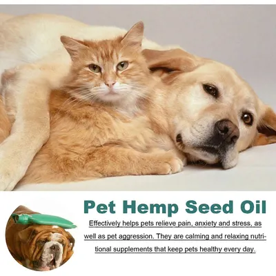 Articulations et douleurs arthritiques Anxiété Stress