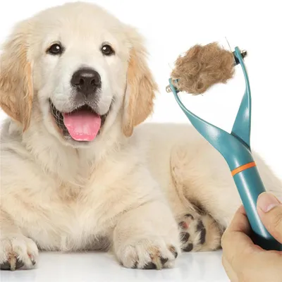 IntiMeg Brosse de toilettage pour chien