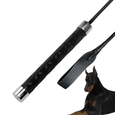 IntiMeg Bâton de dressage pour chien
