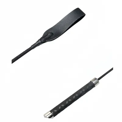 IntiMeg Bâton de dressage pour chien