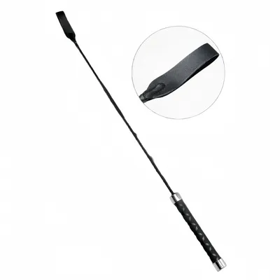 IntiMeg Bâton de dressage pour chien