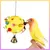 IntiMeg Jouets à mâcher pour perroquets