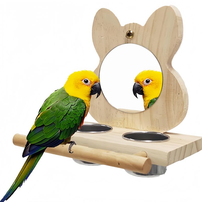 IntiMeg Mangeoire à oiseaux