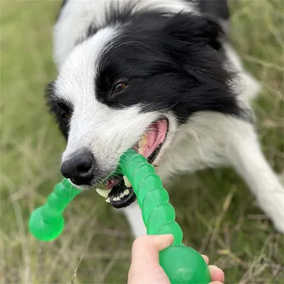 IntiMeg Bâton de mâchement pour grands chiens