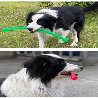 IntiMeg Bâton de mâchement pour grands chiens