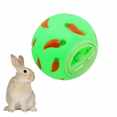 IntiMeg Balle Snacky pour rongeur