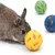 IntiMeg Balle Snacky pour rongeur