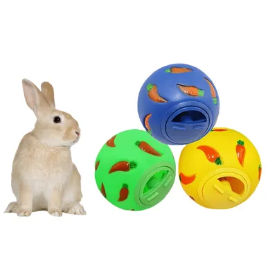 IntiMeg Balle Snacky pour rongeur