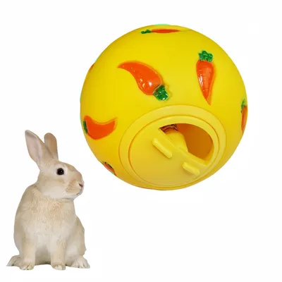 IntiMeg Balle Snacky pour rongeur