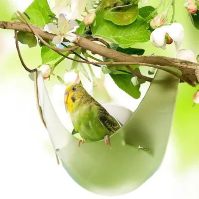 IntiMeg Nichoir à oiseaux pour l'extérieur
