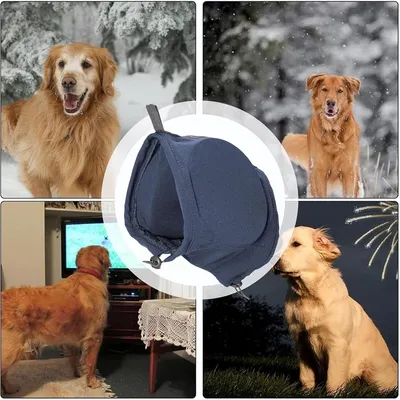 IntiMeg Cache-oreilles antibruit pour chiens