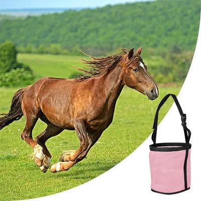 IntiMeg Sac à nourriture pour chevaux