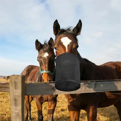 IntiMeg Sac à nourriture pour chevaux