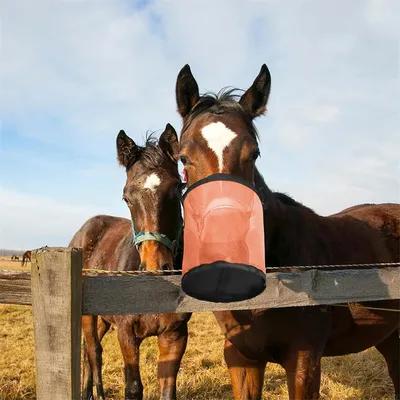 IntiMeg Sac à nourriture pour chevaux