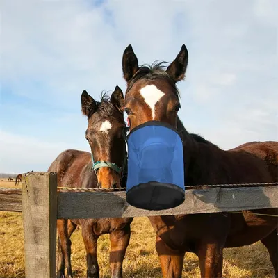 IntiMeg Sac à nourriture pour chevaux