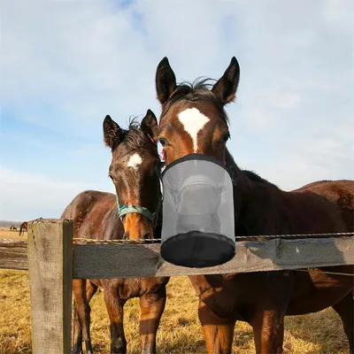 IntiMeg Sac à nourriture pour chevaux