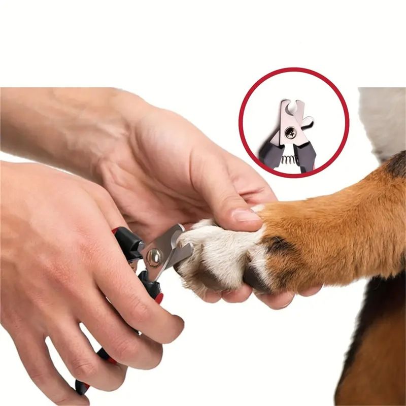 IntiMeg Coupe-ongles pour chien 2 pièces