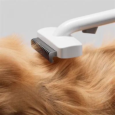 IntiMeg Peigne pour animaux de compagnie