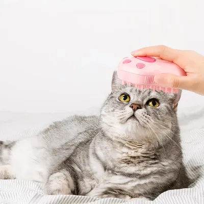 IntiMeg Brosse de toilettage pour animaux de compagnie