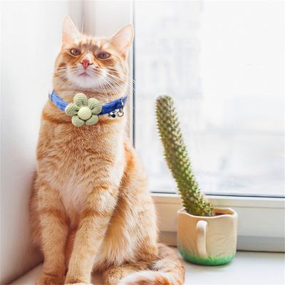 IntiMeg Juego de 3 collares para gatos