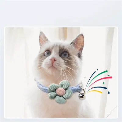 IntiMeg Lot de 3 colliers pour chat