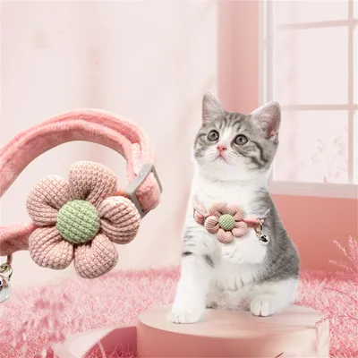 IntiMeg Lot de 3 colliers pour chat