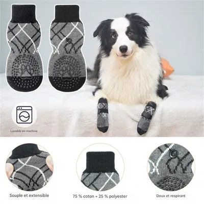 IntiMeg Socken – Rutschfest und zum Schutz der Pfoten IntiMeg Socken – Rutschfest und zum Schutz der Pfoten