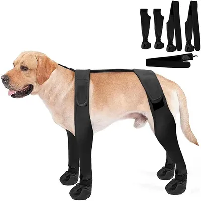 IntiMeg Hundeschuhe IntiMeg Hundeschuhe