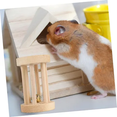 IntiMeg Rouleau de Jeu en Bois 5 x 7cm