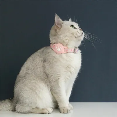 IntiMeg Traceur pour animaux de compagnie