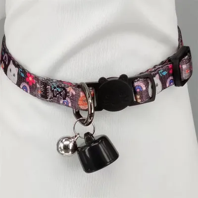 IntiMeg Traceur GPS pour animaux