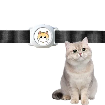 IntiMeg Collier anti-perte GPS pour chats et chiens
