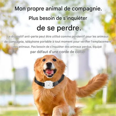 IntiMeg Collier anti-perte GPS pour chats et chiens